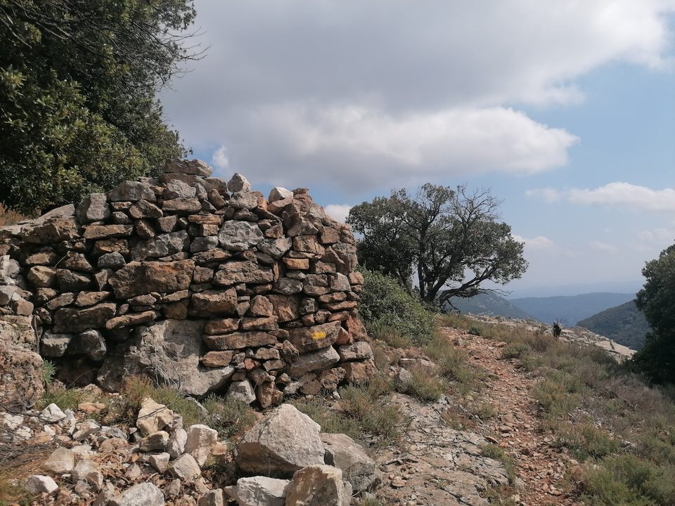 Plateau de Briasq_163153