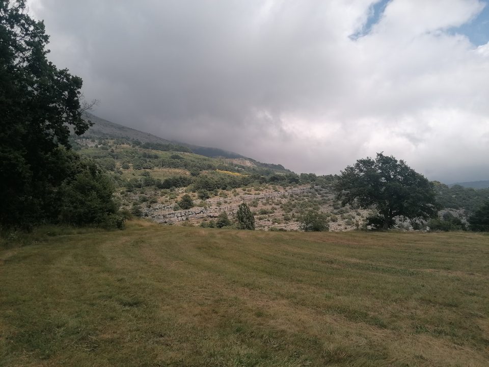 Plateau de Briasq_153354