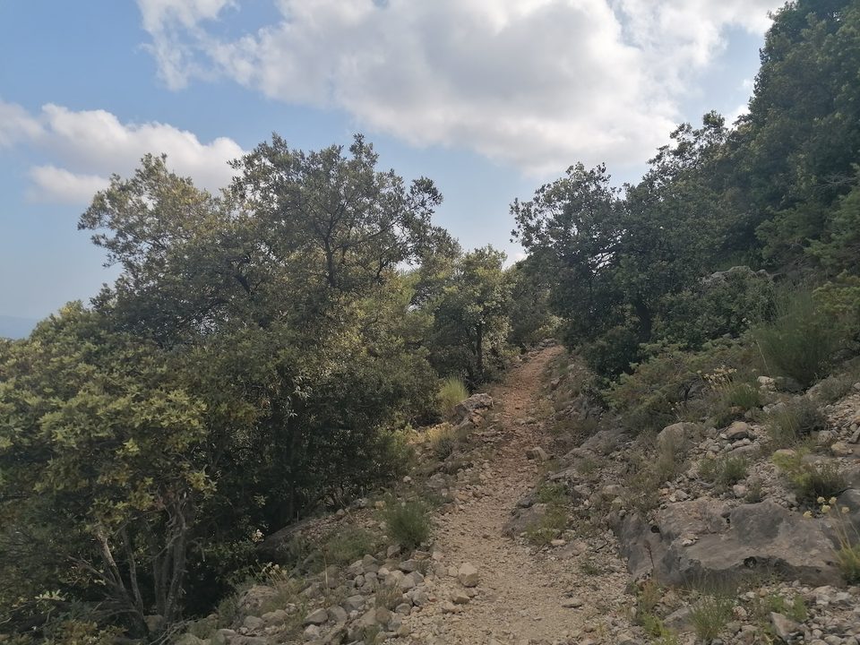 Plateau de Briasq_172742
