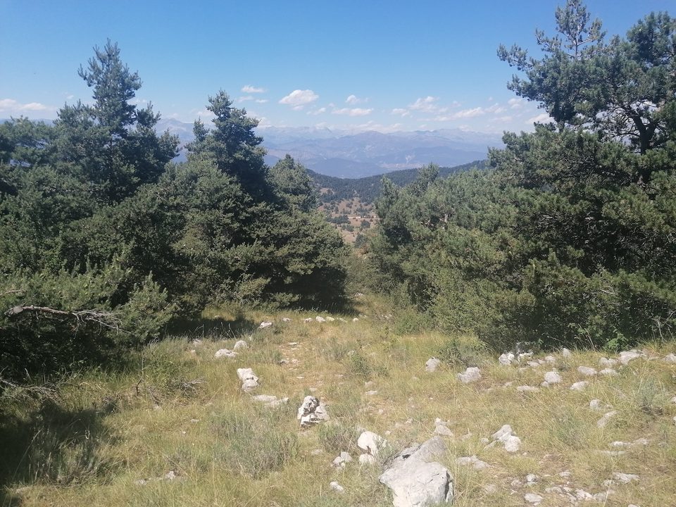 Cime du Cheiron_143815