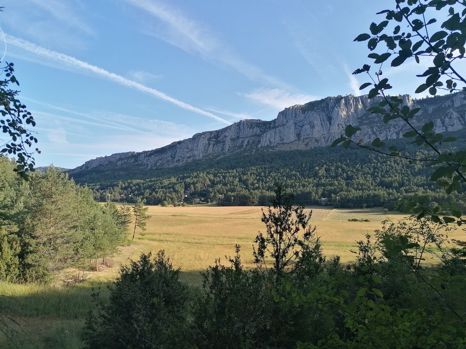 ANDON - Plaine de Caille