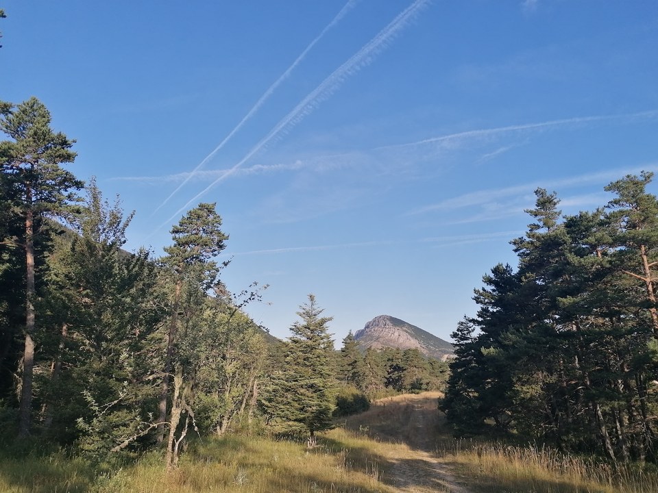 Plaine de Caille_075319