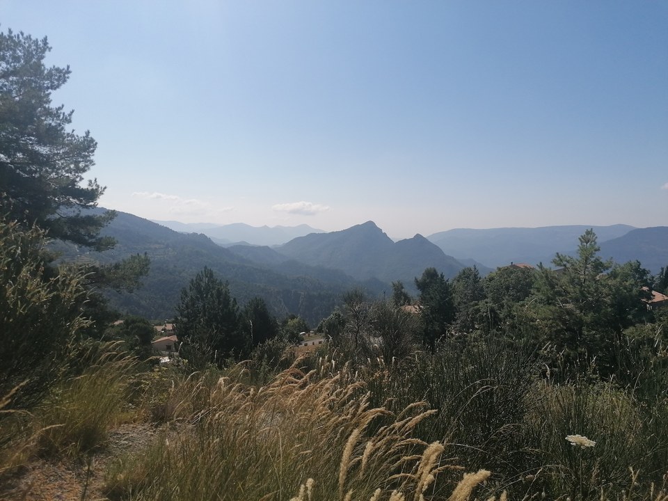 Cime des Collettes_110453