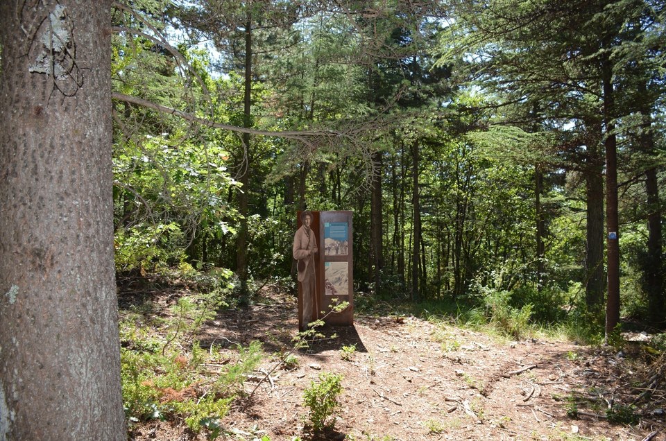 Médiation sur les reboiseurs du Ventoux