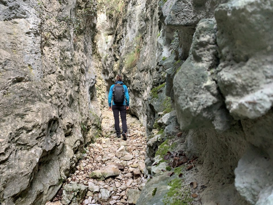 Combe de Curnier