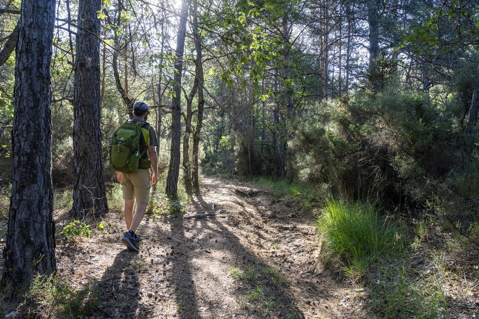Sentier de Piébroux