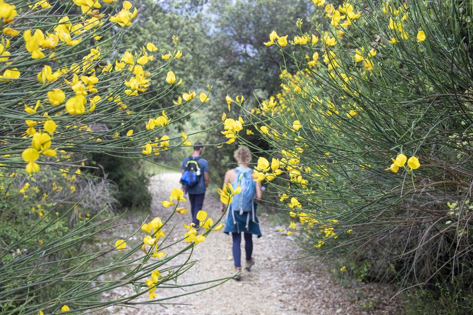En chemin