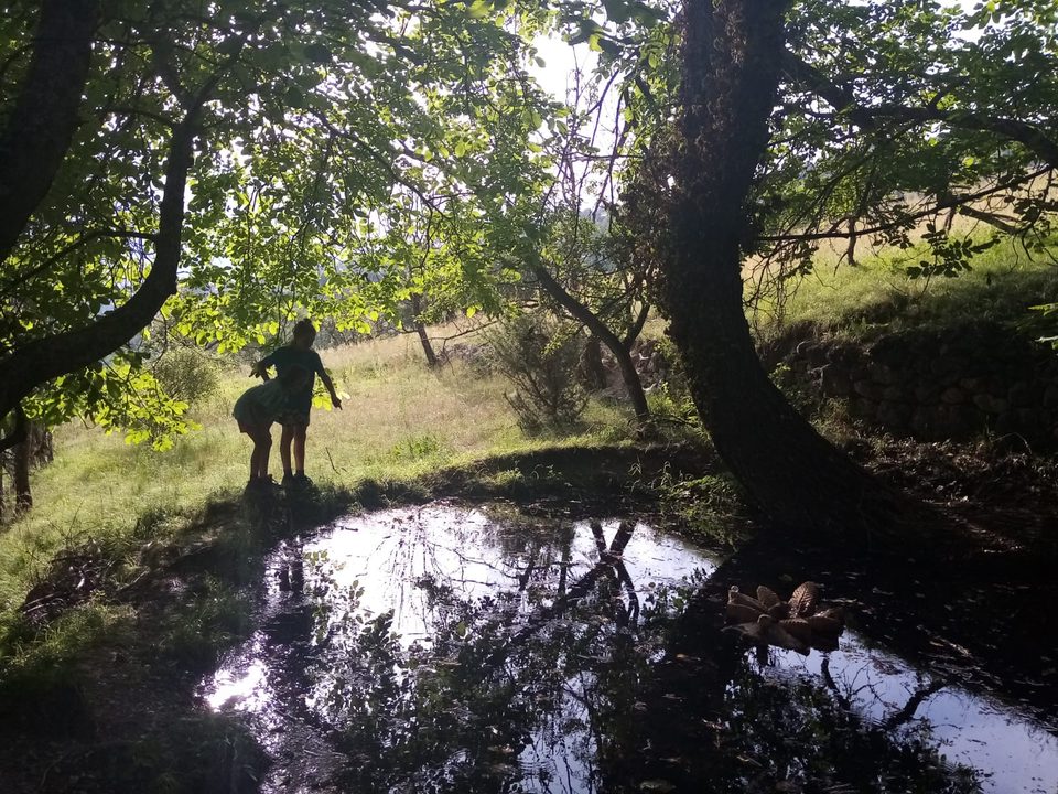 Jeux sur le parcours Sens Action des Oasis enchantés