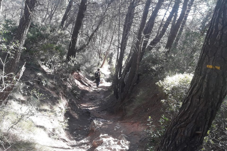 Sentier de Barrié