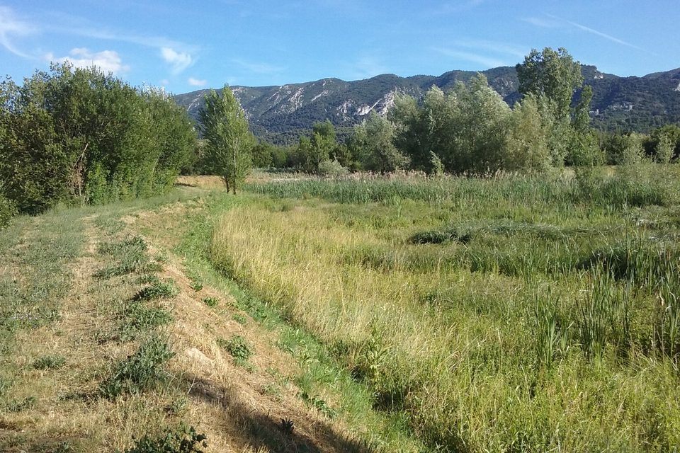 Les prés des Poulivets