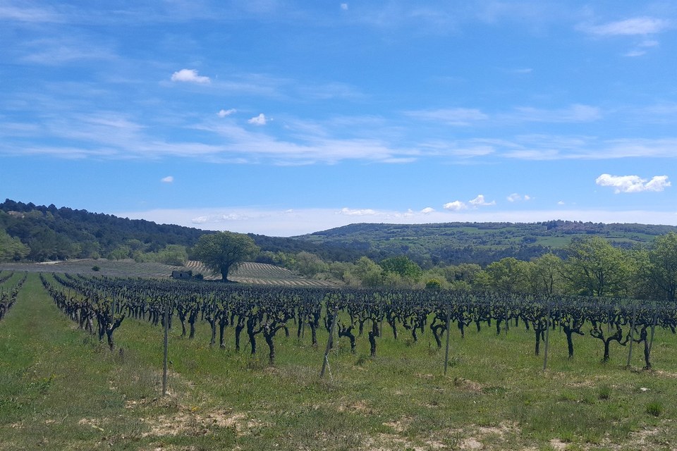 Caseneuve depuis le Chemin des Blaces