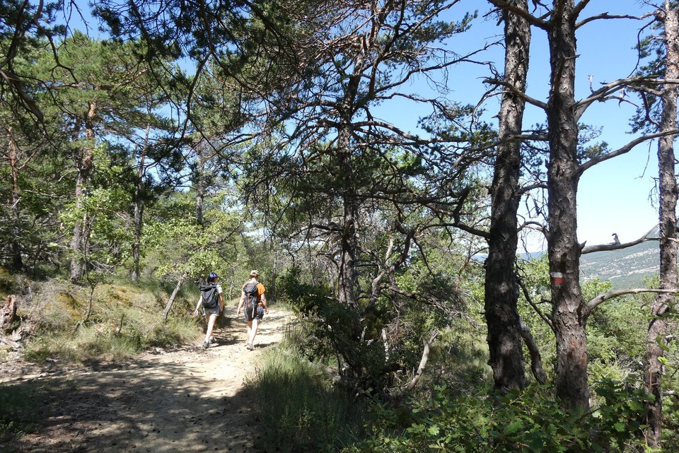Chemin de l'Ubac