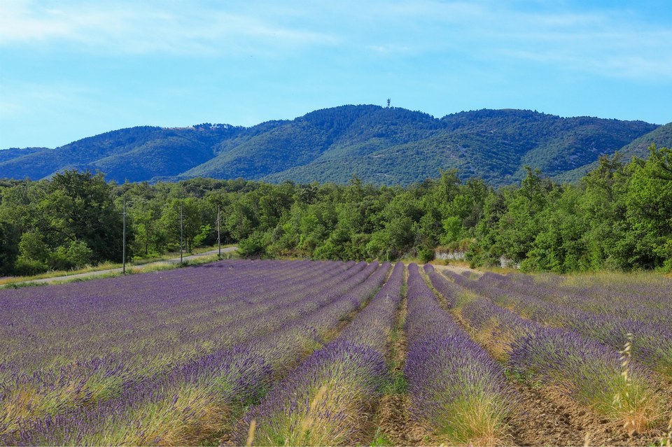 Plateau des Claparèdes et Grand Luberon