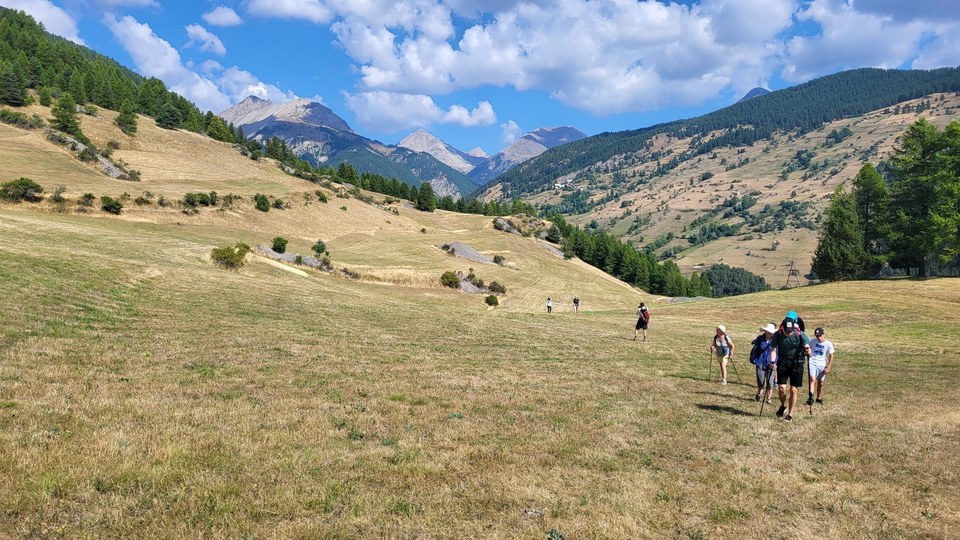 ARVIEUX - La Saga de l'herbe
