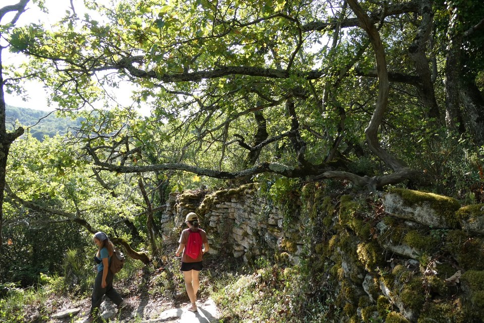 APT - Petit tour de Rocsalière