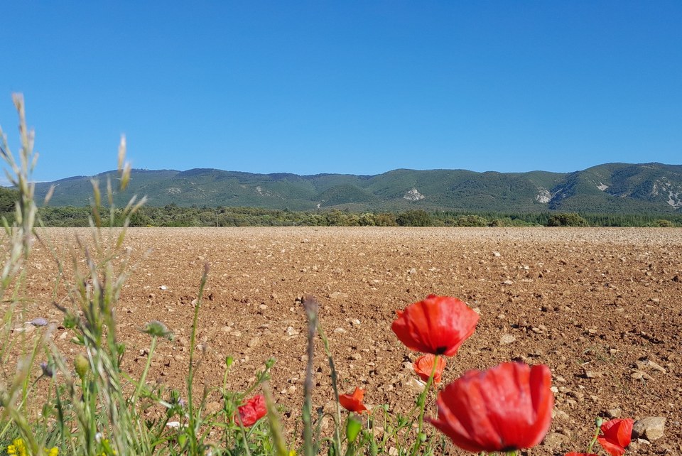Plateau des Claparèdes et Grand Luberon