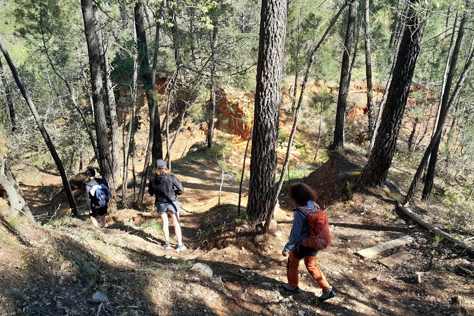 Sentier ocreux de Couvine