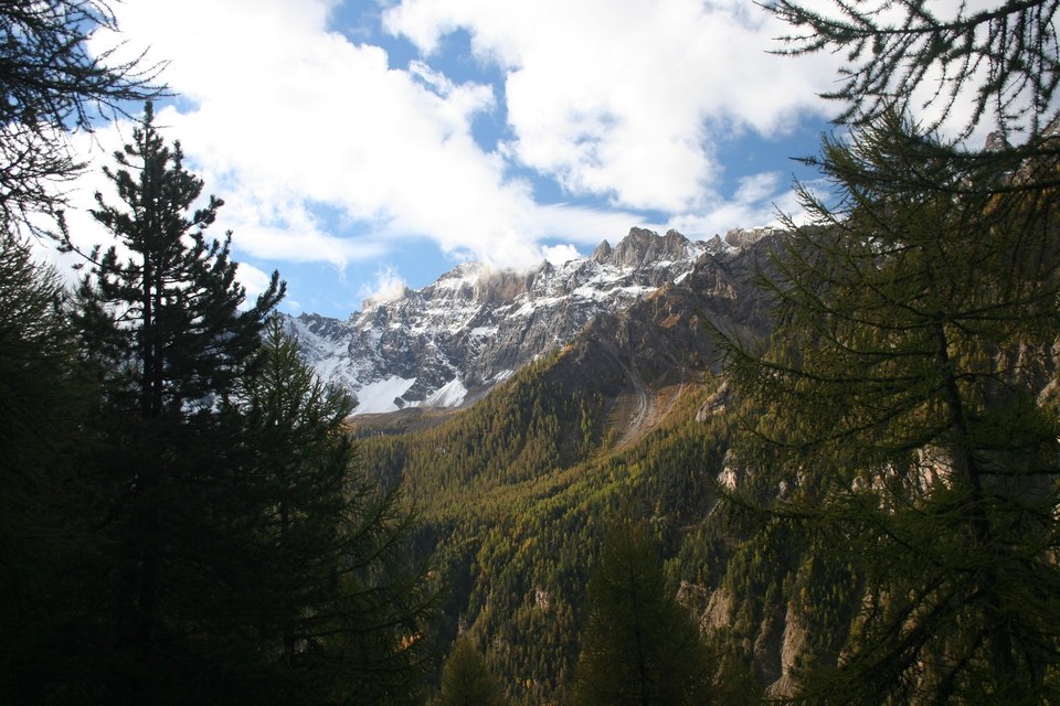 CEILLAC - Bois de Jalavez à VTT