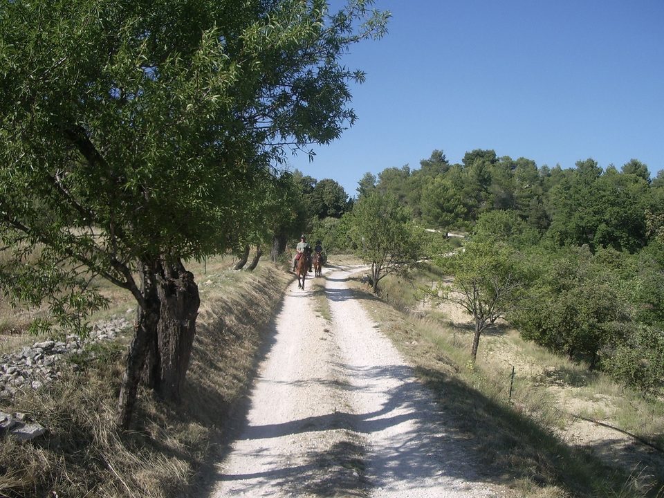 JOUCAS - Col de Murs et col des Trois Termes à cheval