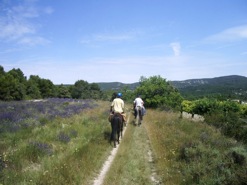 Sur les hauteurs de Murs