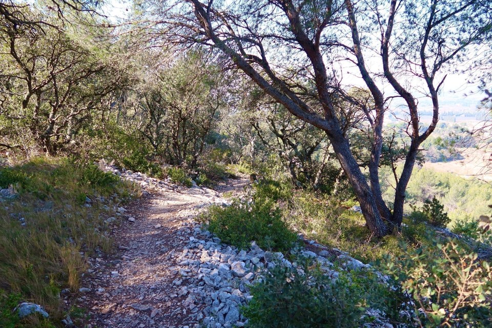 Sur le sentier de découverte
