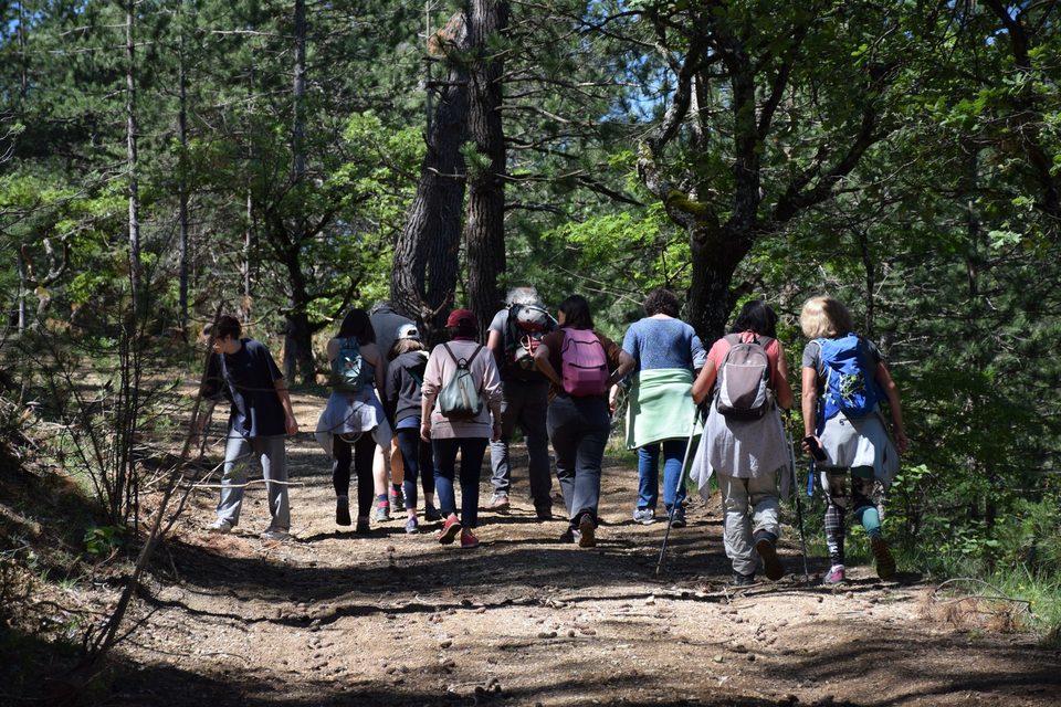 En forêt de Pélicier