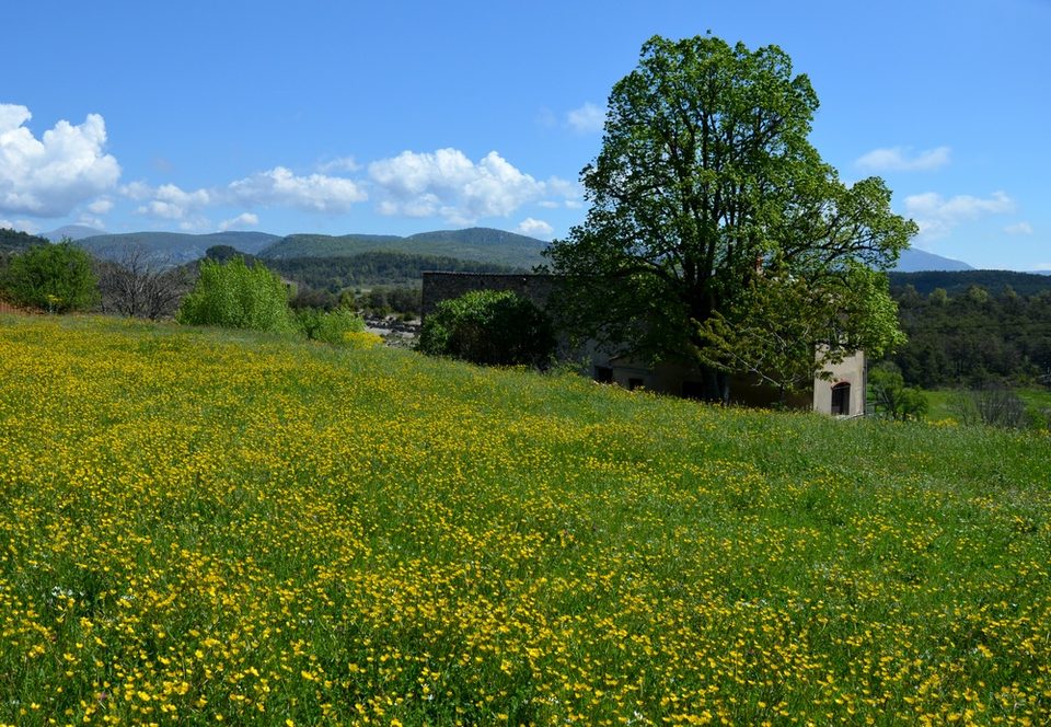 COMPS-SUR-ARTUBY - Le Fayet