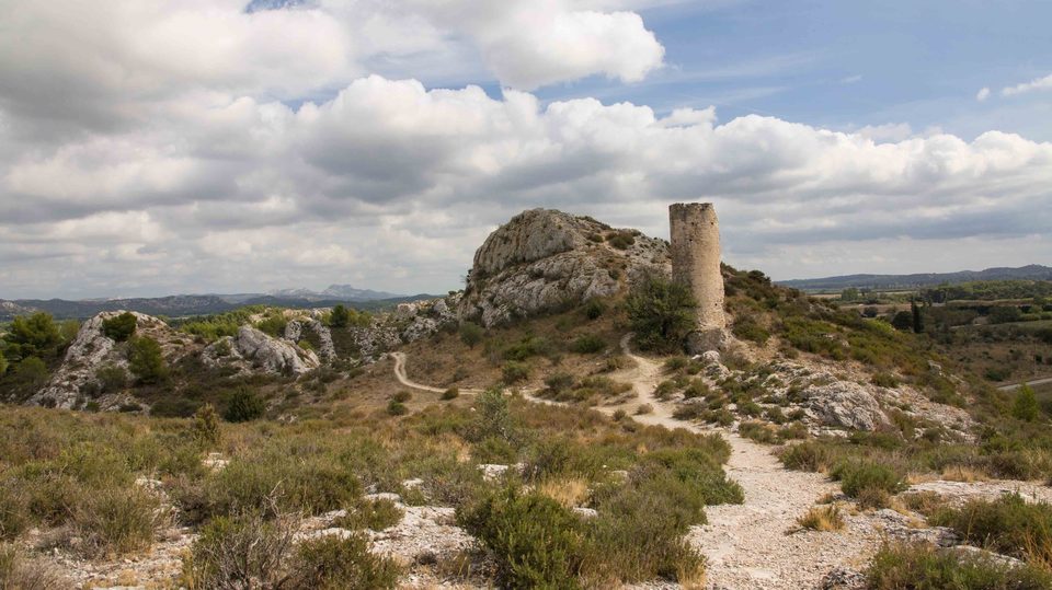 LE PARADOU - Les Tours de Castillon