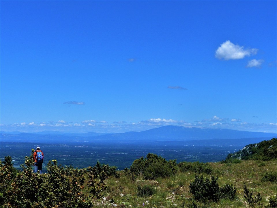 SAINT-RÉMY-DE-PROVENCE - Entre vallon et plateau