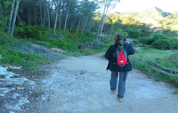 À la découverte des oiseaux