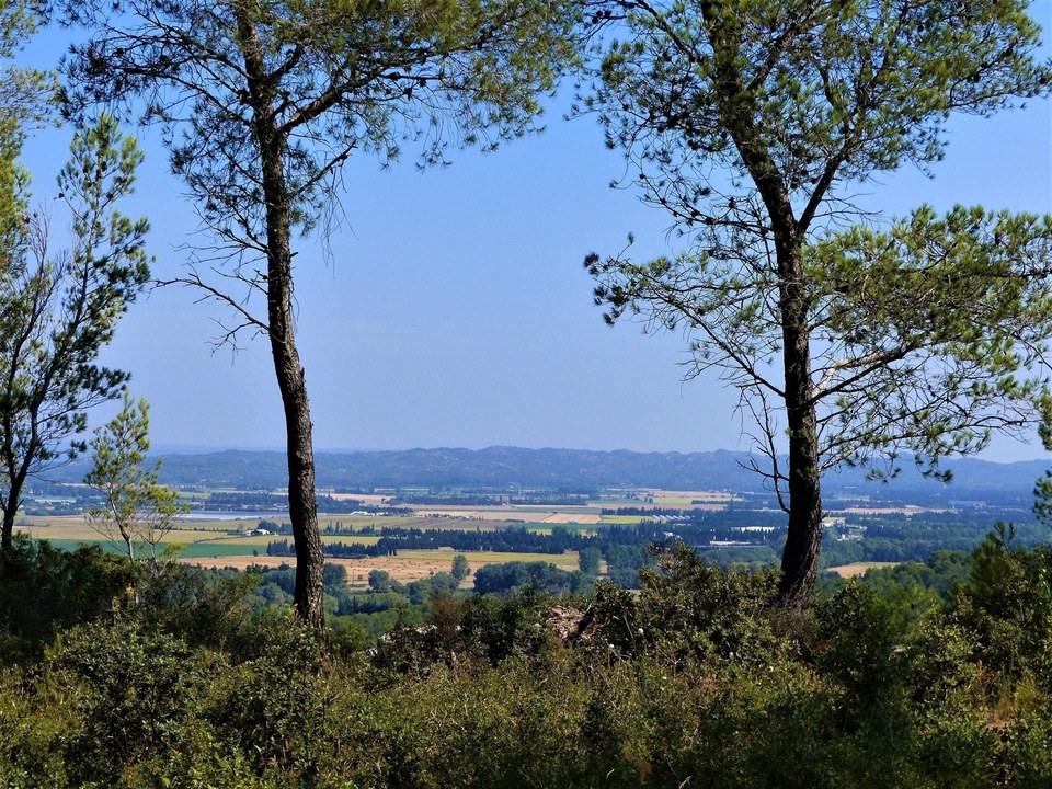 Vue sur la Montagnette