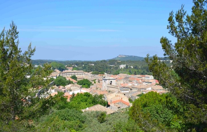 Sur les hauteurs d'Orgon