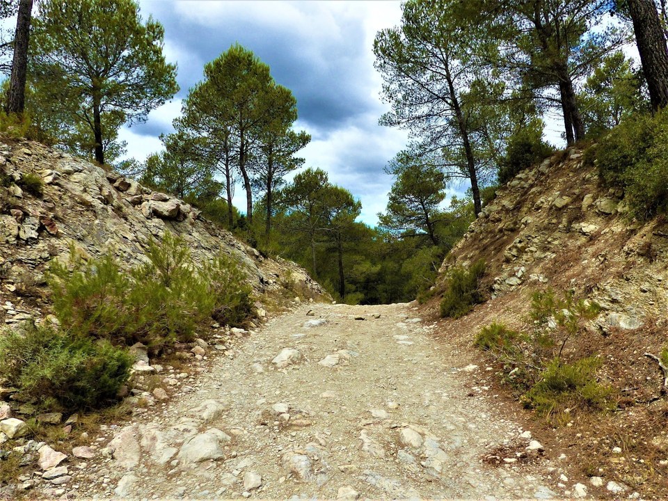 Chemin de la DFCI