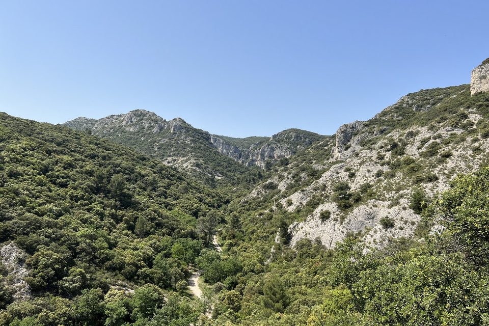 Vallon de Recaute