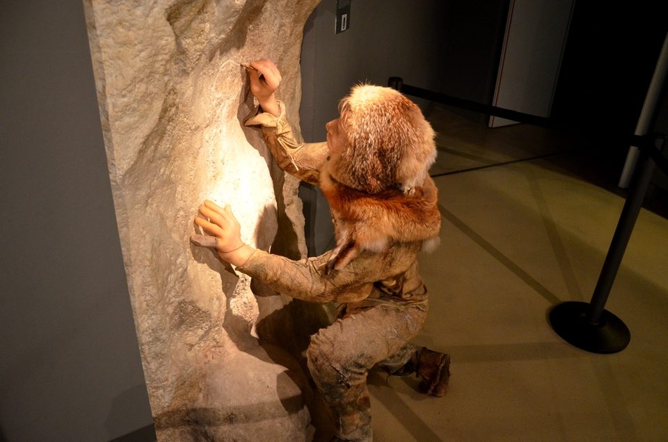 Homo sapiens