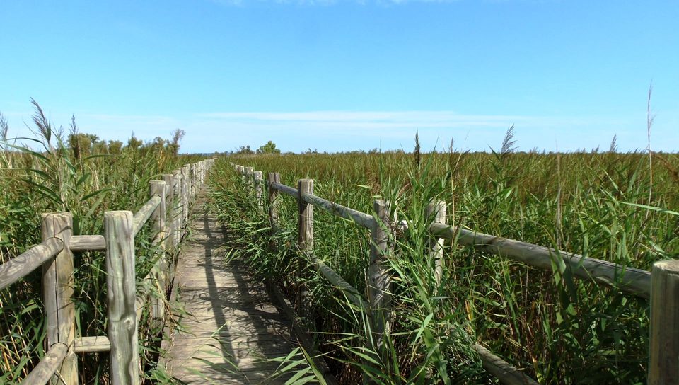 Sentier du Pont de Rousty