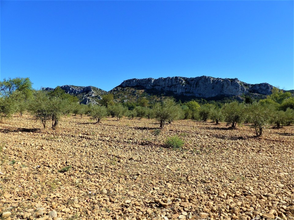 EYGUIÈRES - Vallon des Glauges