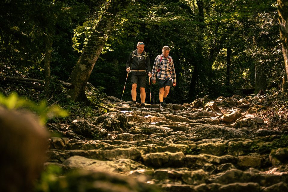 Descente sur le chemin du canapé