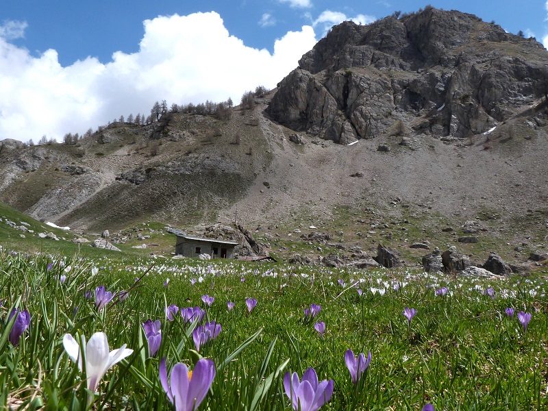 Lac du Lauzet