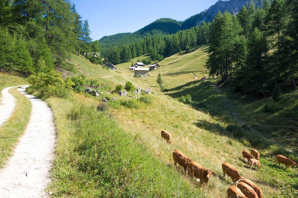Alpages et chalets de Bramousse