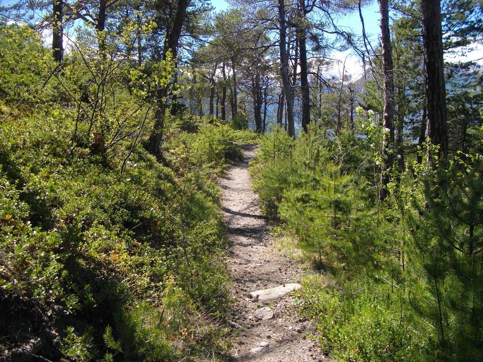 GUILLESTRE - Panacelle à VTT