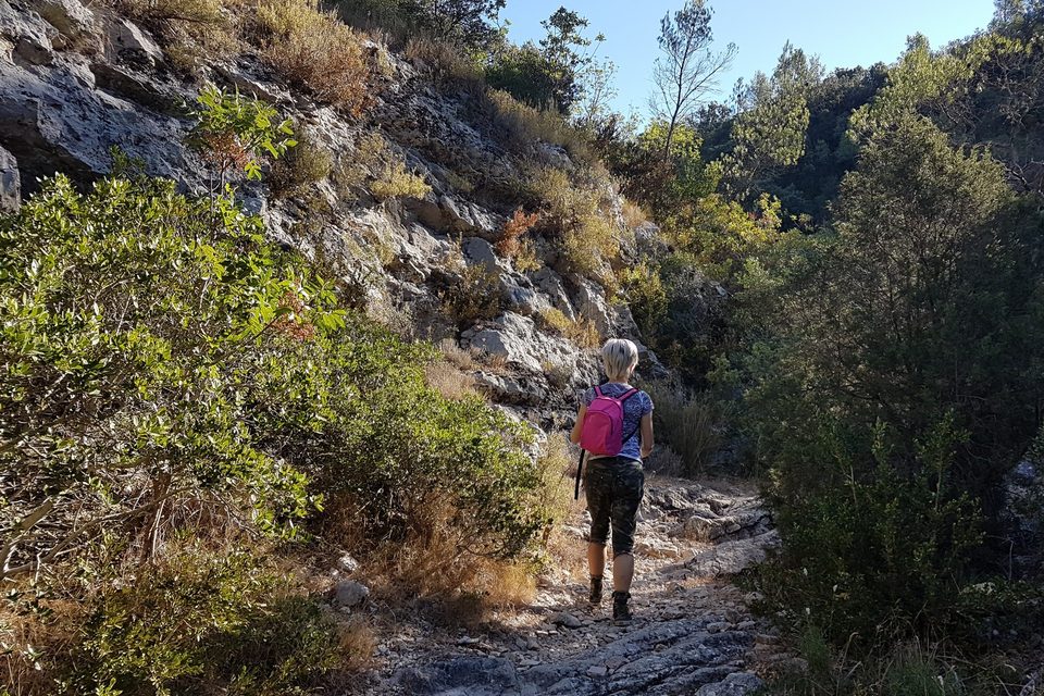 Vallon du Croupatas