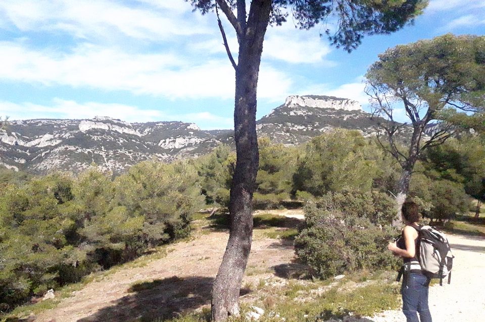 Mourre de la Saume