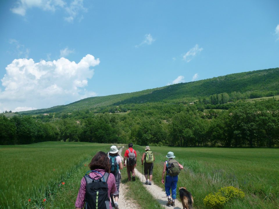 Vallée de l'Encrême