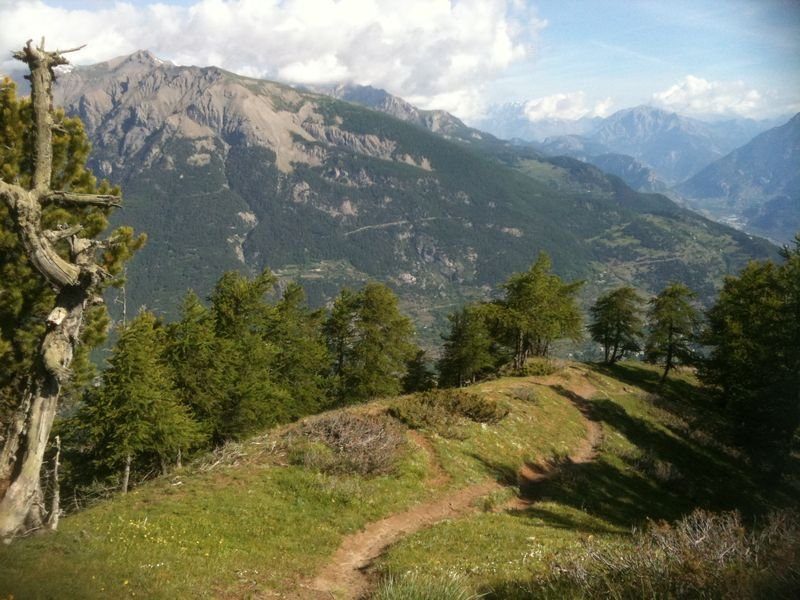 Single track de la crête du Pénon