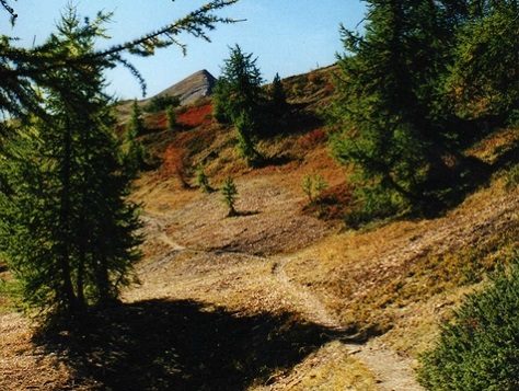 Par les crêtes