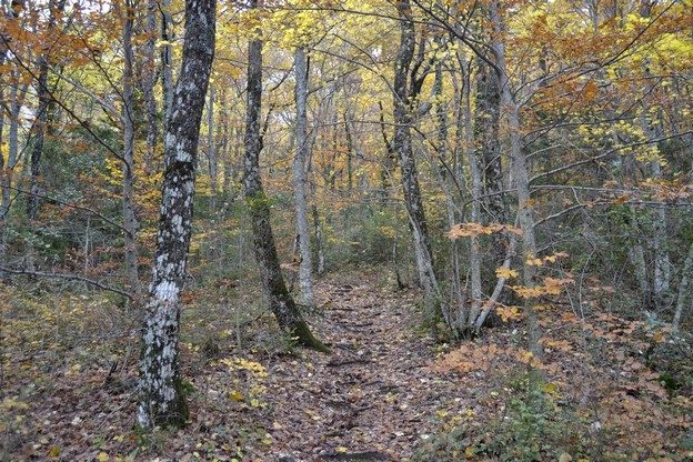 Sur le sentier Merveilleux