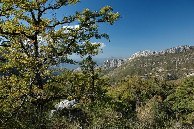 Panorama