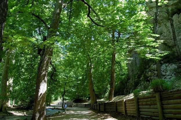 Le parc départemental de Saint-Pons