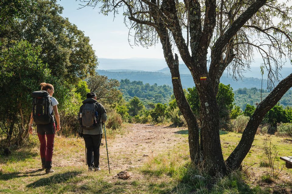 Balade dans la colline